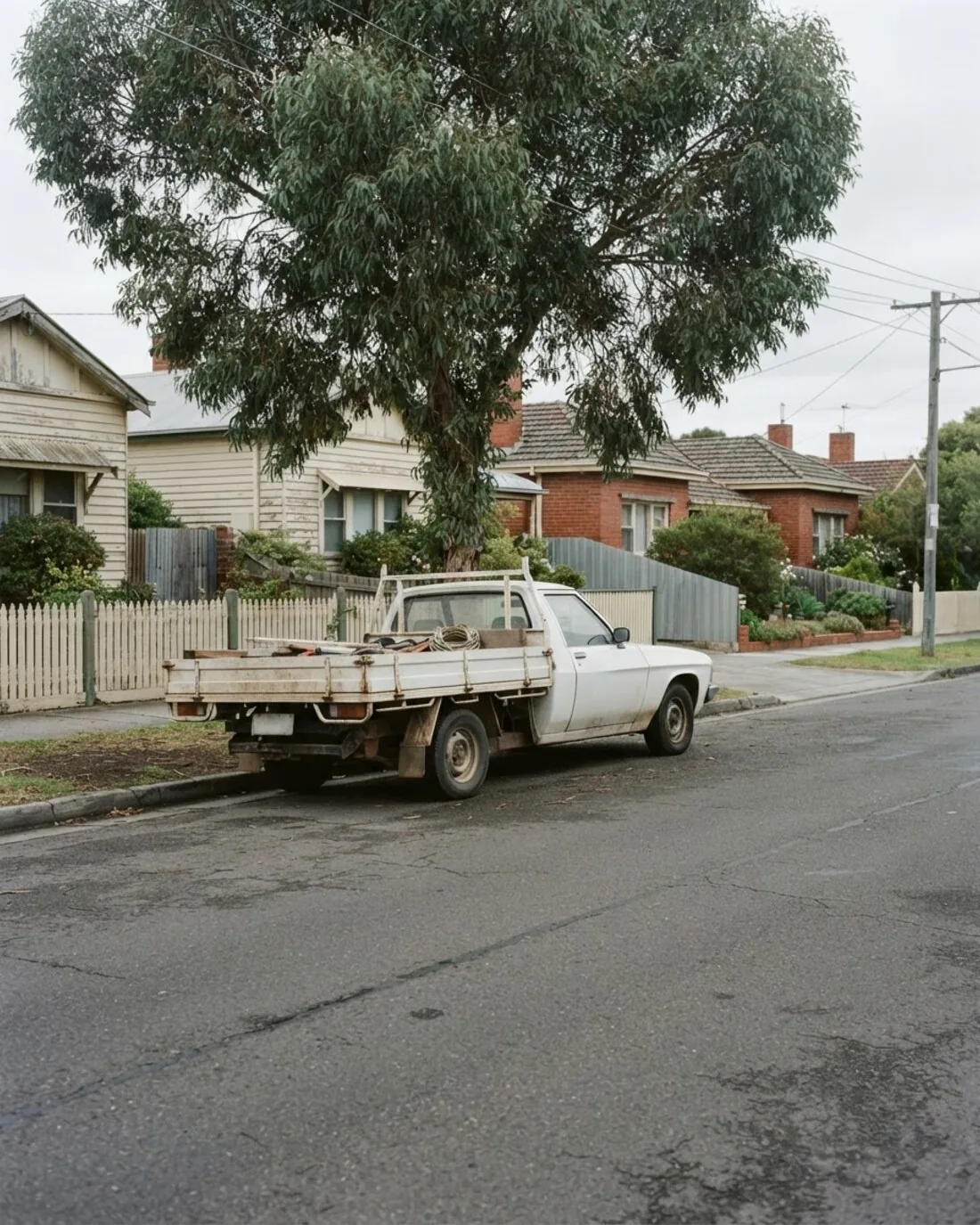 A work ute parked on a quiet Melbourne suburban street under a gum